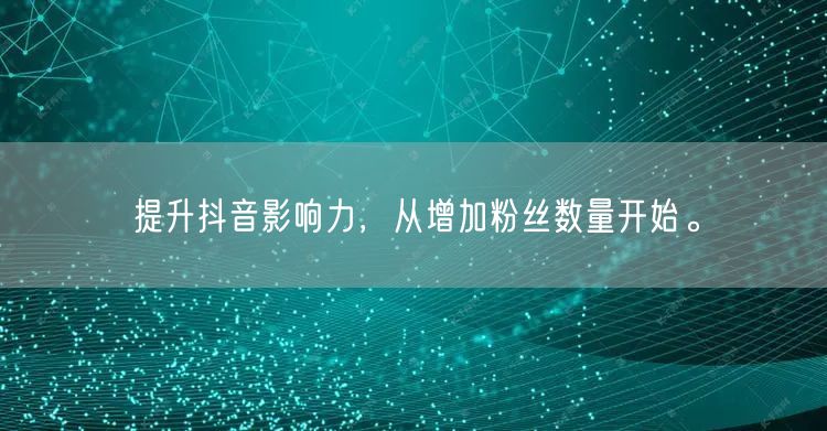 提升抖音影响力,从增加粉丝数量开始。