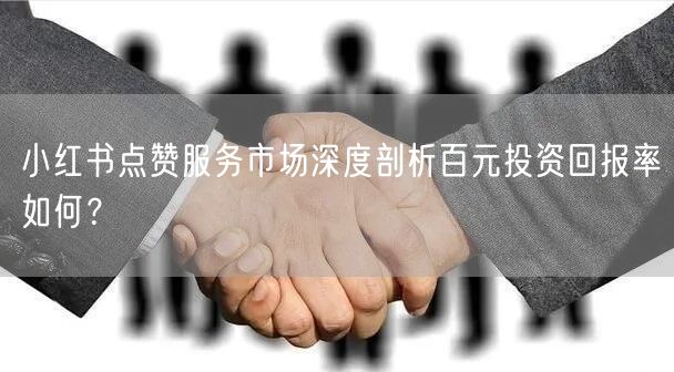 小红书点赞服务市场深度剖析百元投资回报率如何?