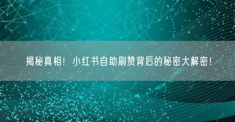 揭秘真相！小红书自助刷赞背后的秘密大解密！