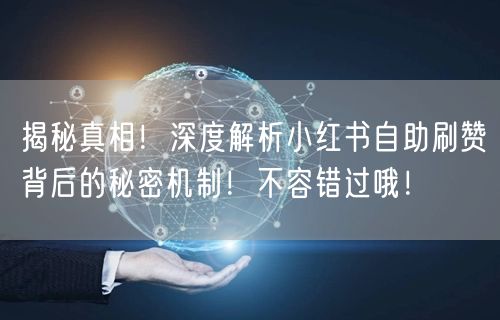 揭秘真相！深度解析小红书自助刷赞背后的秘密机制！不容错过哦！