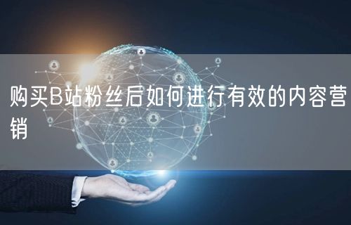 购买B站粉丝后如何进行有效的内容营销