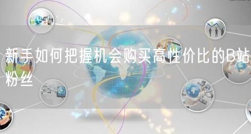 新手如何把握机会购买高性价比的B站粉丝