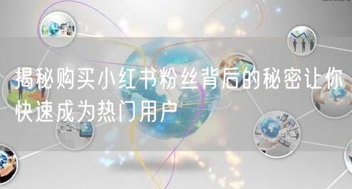 揭秘购买小红书粉丝背后的秘密让你快速成为热门用户
