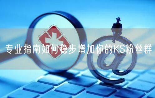 专业指南如何稳步增加你的KS粉丝群