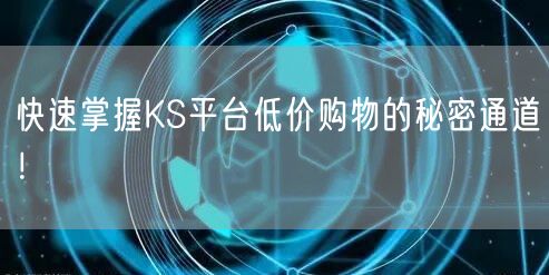 快速掌握KS平台低价购物的秘密通道!