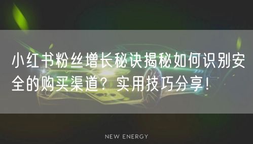 小红书粉丝增长秘诀揭秘如何识别安全的购买渠道？实用技巧分享！