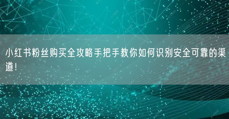 小红书粉丝购买全攻略手把手教你如何识别安全可靠的渠道!
