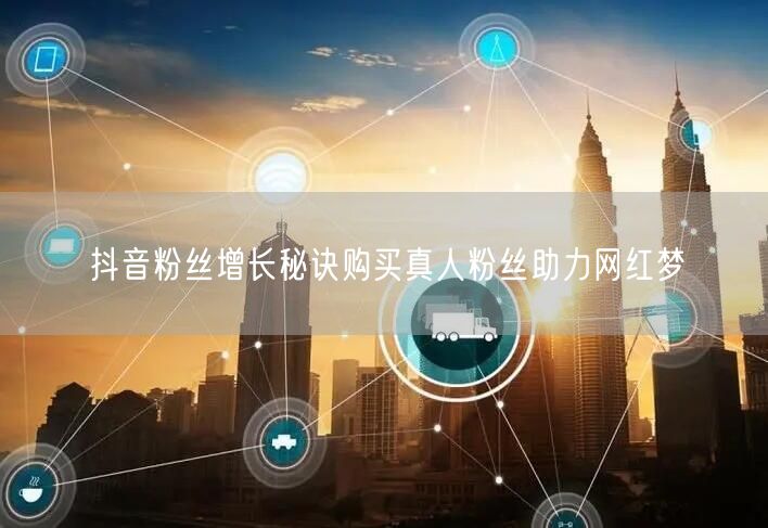抖音粉丝增长秘诀购买真人粉丝助力网红梦