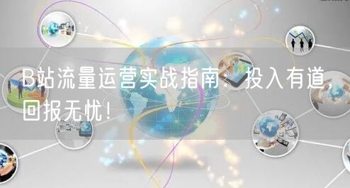 B站流量运营实战指南：投入有道，回报无忧！