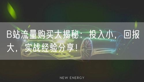 B站流量购买大揭秘：投入小，回报大，实战经验分享！