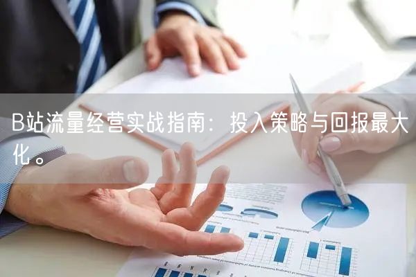 B站流量经营实战指南：投入策略与回报最大化。