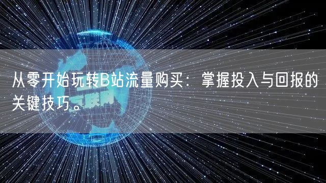 从零开始玩转B站流量购买：掌握投入与回报的关键技巧。