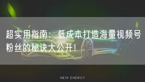 超实用指南:低成本打造海量视频号粉丝的秘诀大公开!